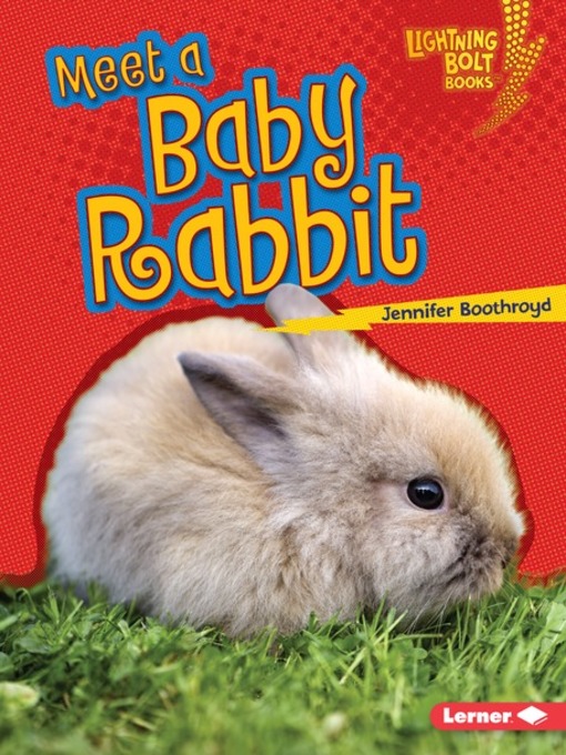Title details for Meet a Baby Rabbit by Jennifer Boothroyd - Available